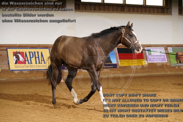 s_K3F01785.JPG